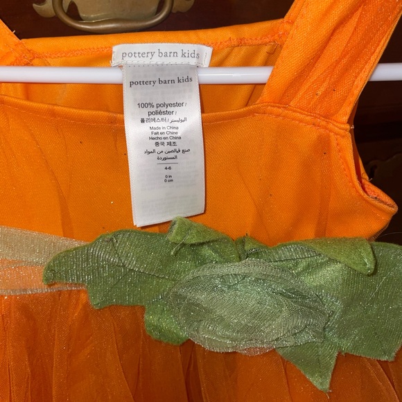 Pottery Barn Pumpkin Costume - Picture 4 of 6